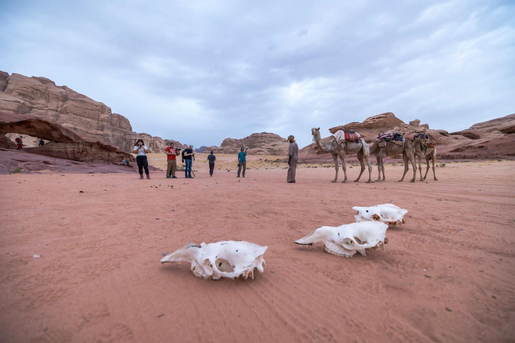Wadi Orion Camp Campsite *